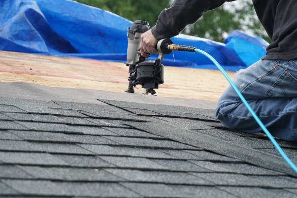 Best Chimney Flashing Repair  in Waimanalo, HI